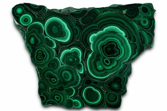 Flowery Polished Malachite Slab - DR Congo #350839